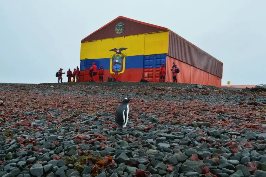 Antártica